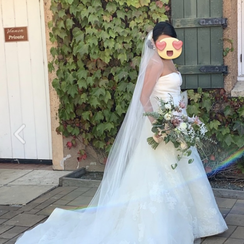 Vera Wang Ester Wedding Dress w/ Cathedral Veil